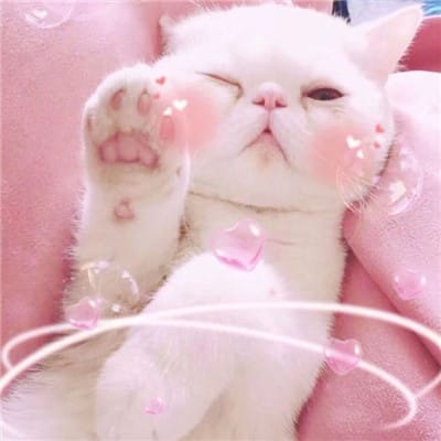 Sedi Mirah avatar
